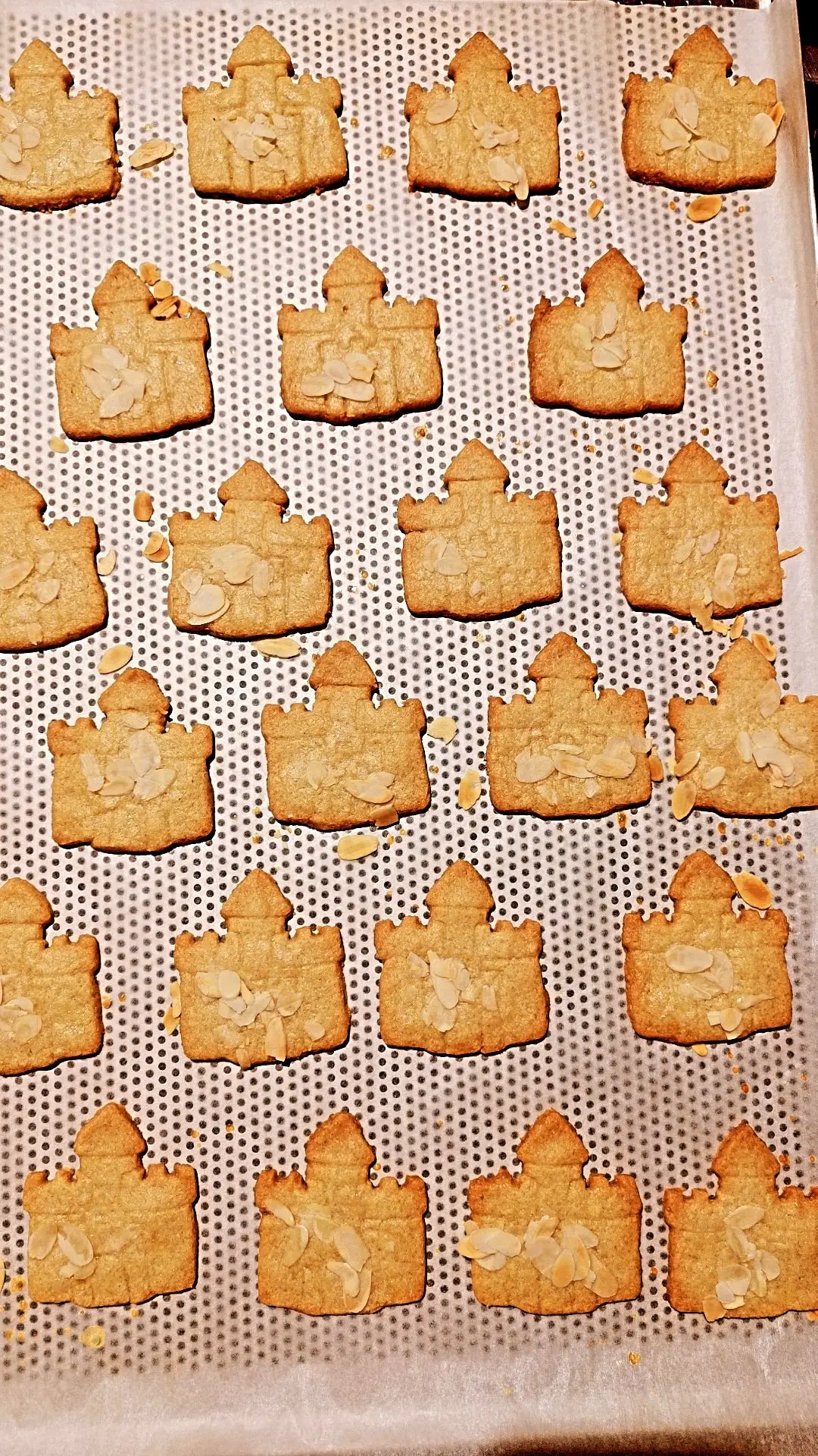 Ambachtelijke Antwerpse Kasteeltjes van Nona's Bakery - Plantaardige koekjes online bestellen