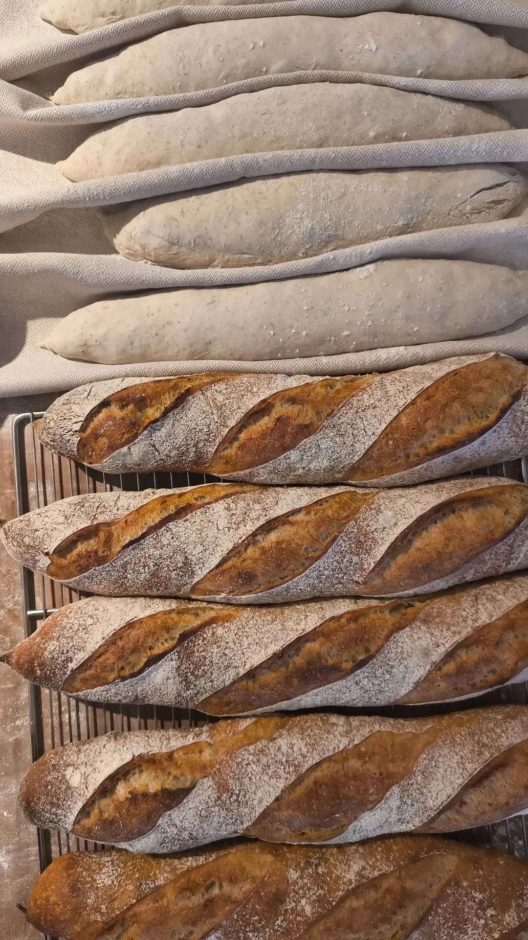 Zuurdesem baguette van 500g van Nona's Bakery, kraakvers gebakken