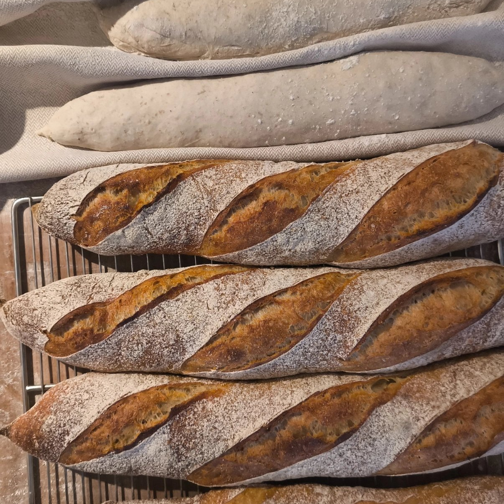 Franse Baguette Workshop 1 elementor io optimized